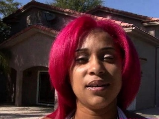 CIMA black and ebony